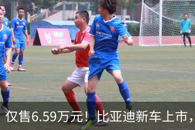 仅售6.59万元！比亚迪新车上市，这绝对是来捣乱的