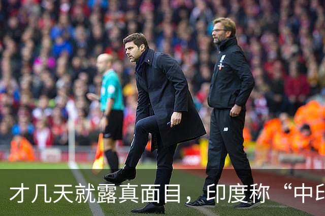才几天就露真面目，印度称“中印边界对峙持续”，要建立无人机队