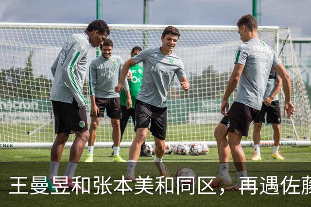 王曼昱和张本美和同区,再遇佐藤瞳,孙颖莎和早田希娜同区