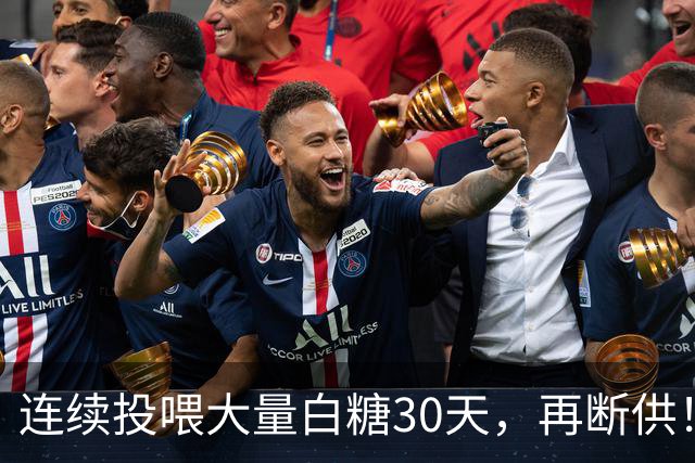 连续投喂大量白糖30天,再断供!国外网红扮“蚂蚁天神”整蛊野生蚁群